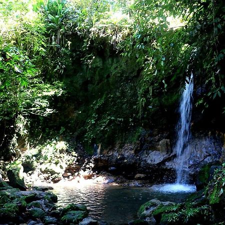 Misahualli Amazon Lodge Tena Ngoại thất bức ảnh