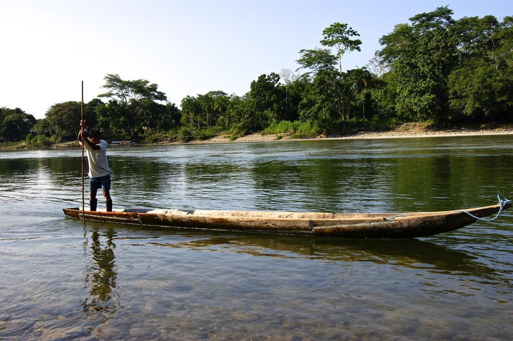 Misahualli Amazon Lodge Tena Ngoại thất bức ảnh