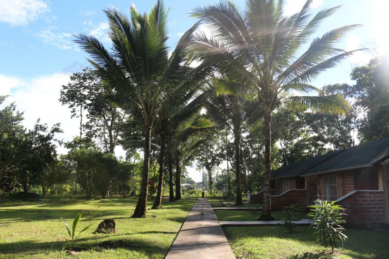 Misahualli Amazon Lodge Tena Ngoại thất bức ảnh