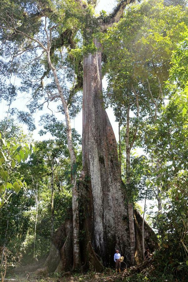 Misahualli Amazon Lodge Tena Ngoại thất bức ảnh
